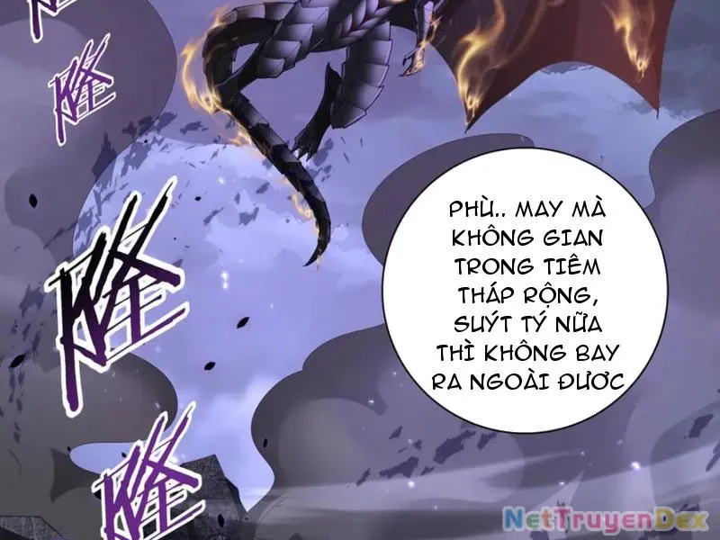 đọc truyện Toàn Dân Chuyển Chức: Ngự Long Sư Là Chức Nghiệp Yếu Nhất? Chương 79 ảnh 4 tại Thiên Thai Truyện