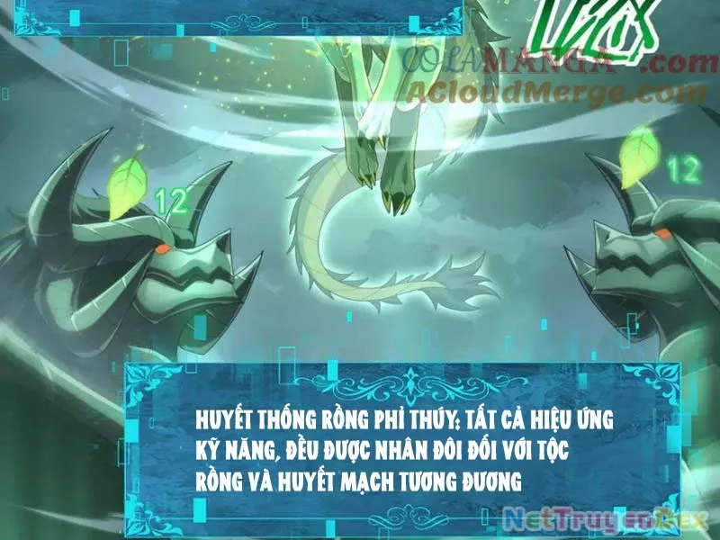 đọc truyện Toàn Dân Chuyển Chức: Ngự Long Sư Là Chức Nghiệp Yếu Nhất? Chương 79 ảnh 70 tại Thiên Thai Truyện