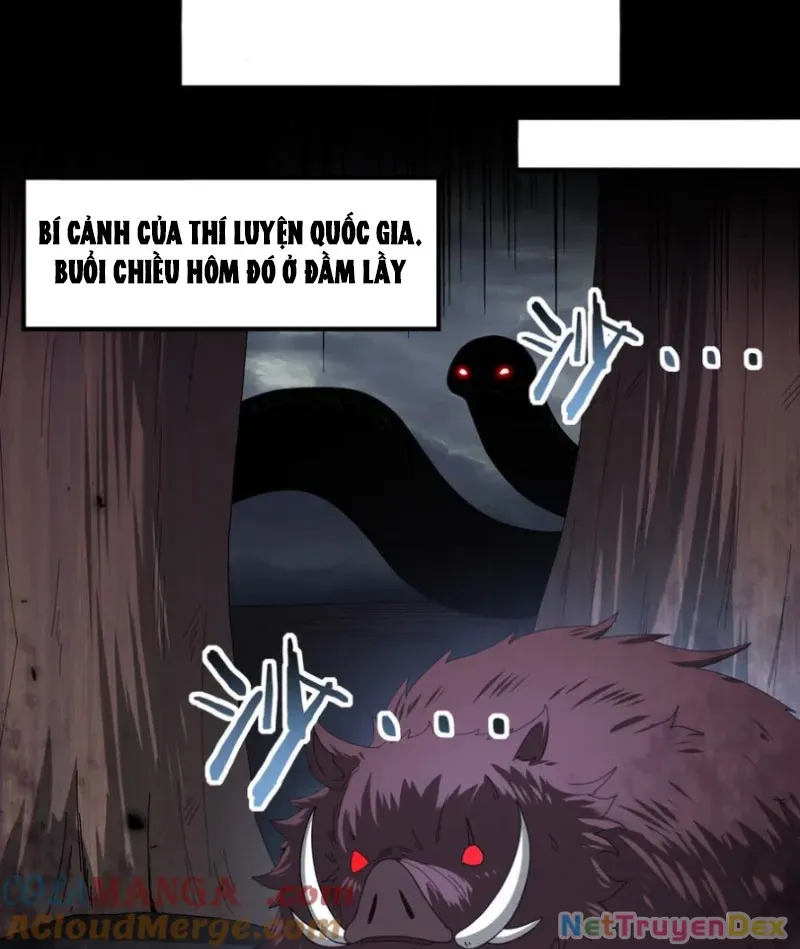 đọc truyện Toàn Dân Chuyển Chức: Ngự Long Sư Là Chức Nghiệp Yếu Nhất? Chương 80 ảnh 56 tại Thiên Thai Truyện