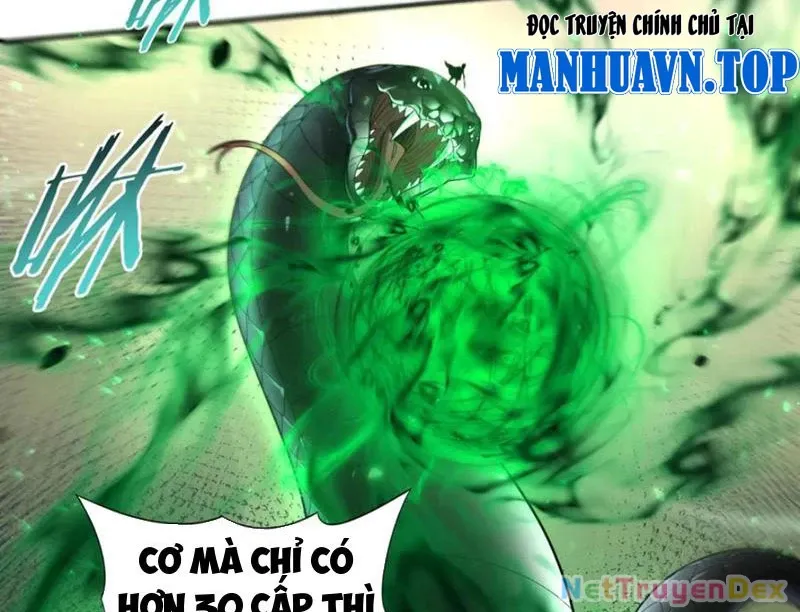 đọc truyện Toàn Dân Chuyển Chức: Ngự Long Sư Là Chức Nghiệp Yếu Nhất? Chương 81 ảnh 66 tại Thiên Thai Truyện