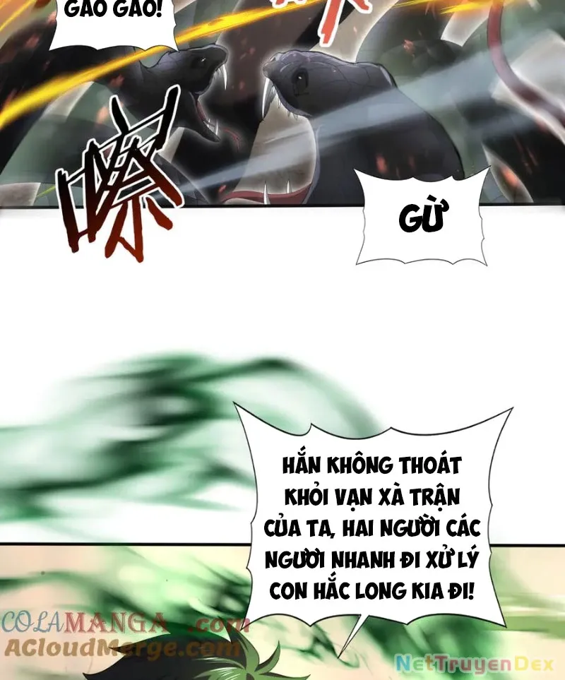 đọc truyện Toàn Dân Chuyển Chức: Ngự Long Sư Là Chức Nghiệp Yếu Nhất? Chương 82 ảnh 23 tại Thiên Thai Truyện