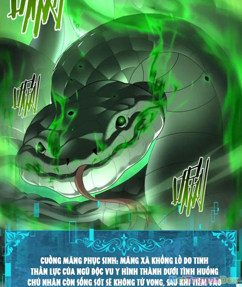 đọc truyện Toàn Dân Chuyển Chức: Ngự Long Sư Là Chức Nghiệp Yếu Nhất? Chương 82 ảnh 47 tại Thiên Thai Truyện