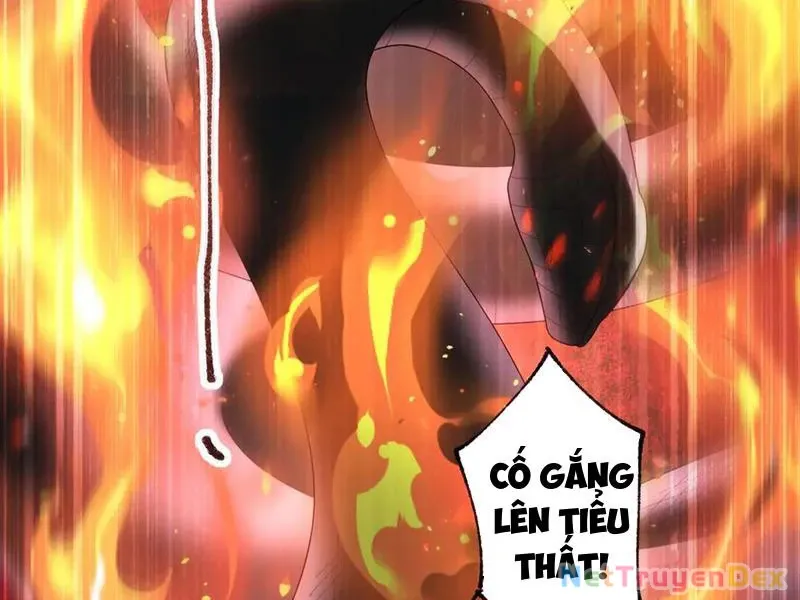 đọc truyện Toàn Dân Chuyển Chức: Ngự Long Sư Là Chức Nghiệp Yếu Nhất? Chương 83 ảnh 118 tại Thiên Thai Truyện