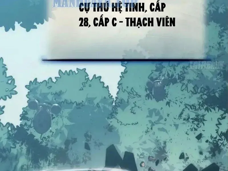 đọc truyện Toàn Năng Giác Tỉnh Sư Chương 71 ảnh 21 tại Thiên Thai Truyện