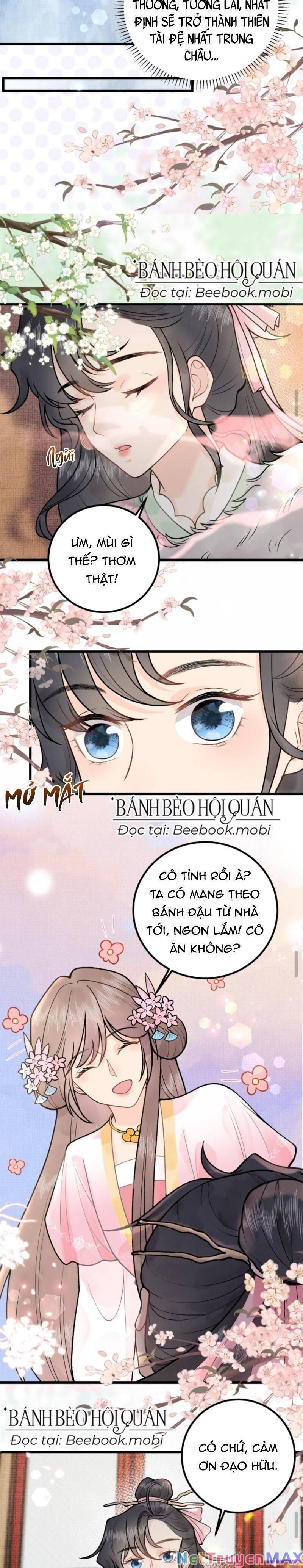 Toàn Tông Môn Đều Là Kẻ Si Tình, Chỉ Có Ta Là Tỉnh Táo Chương 11 page 4 - Giả Dược