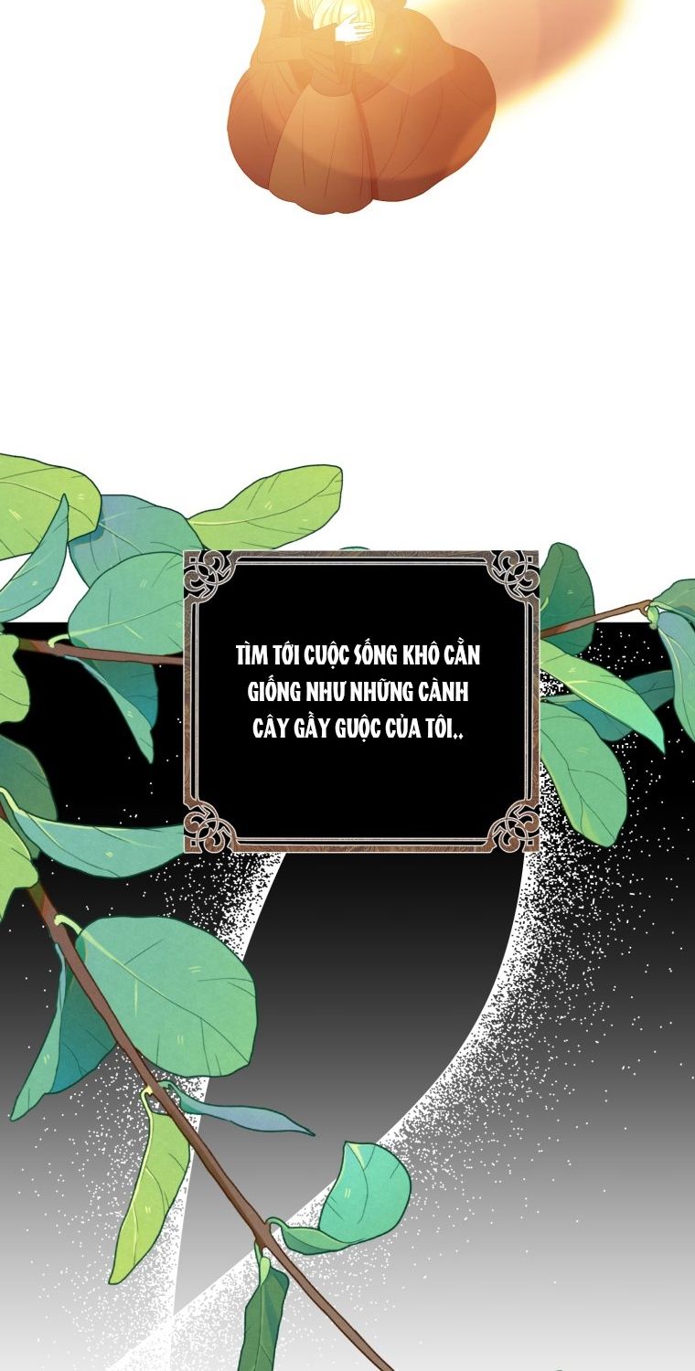 đọc truyện Tôi Bị Cắn Bởi Chú Chó Tôi Đã Bỏ Rơi Chương 12 ảnh 24 tại Giả Dược