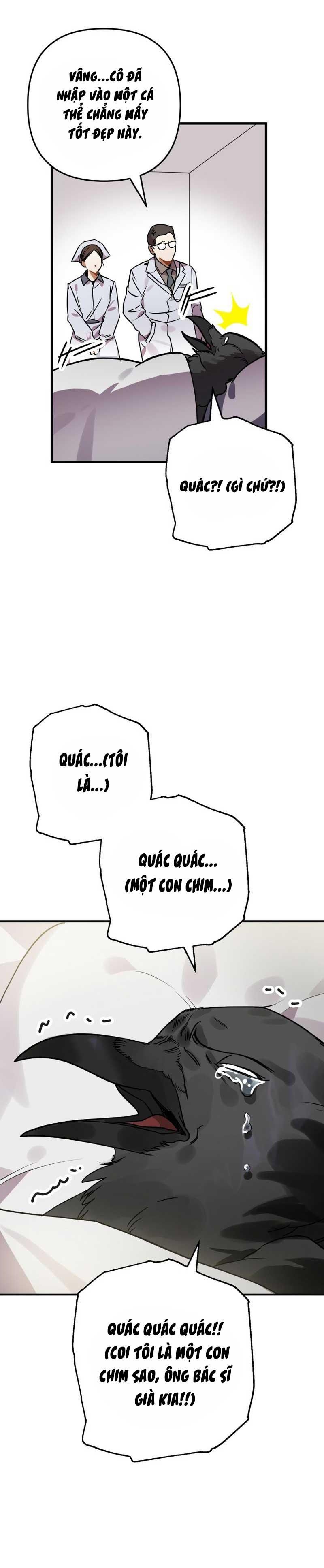 Tôi Bỗng Trở Thành Quạ Đen Chương 1 page 17 - Giả Dược