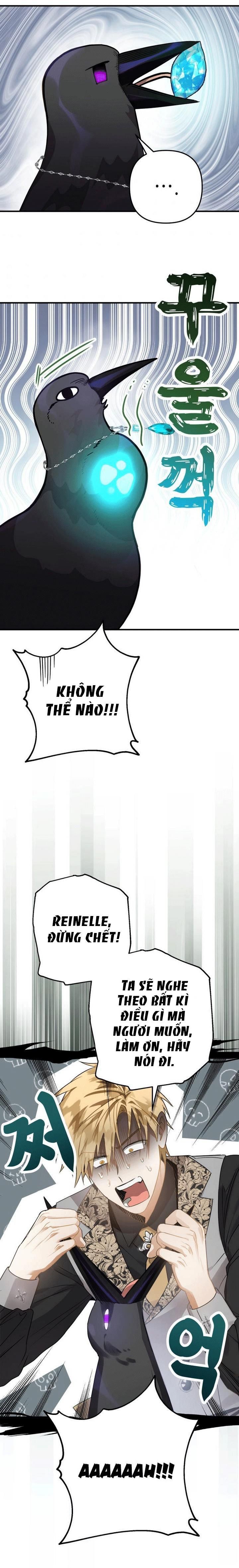 Tôi Bỗng Trở Thành Quạ Đen Chương 11 page 2 - Giả Dược