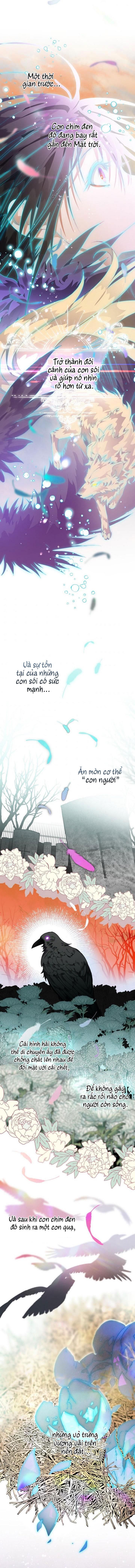 Tôi Bỗng Trở Thành Quạ Đen Chương 11 page 18 - Giả Dược