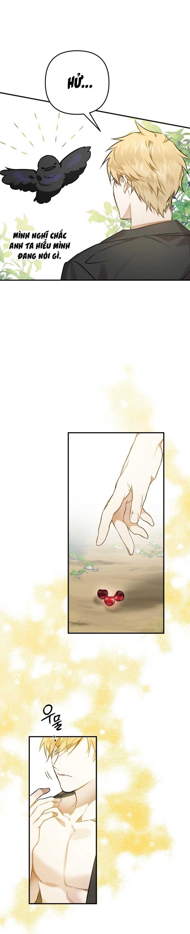 Tôi Bỗng Trở Thành Quạ Đen Chương 2 page 38 - Giả Dược