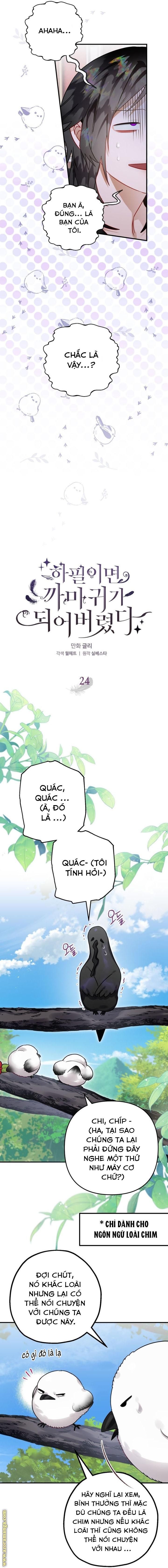 Tôi Bỗng Trở Thành Quạ Đen Chương 24 page 2 - Giả Dược