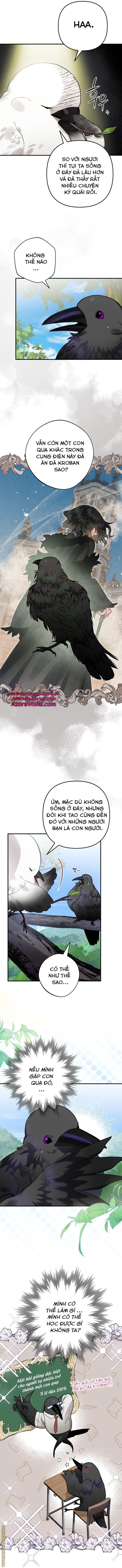 Tôi Bỗng Trở Thành Quạ Đen Chương 24 page 4 - Giả Dược