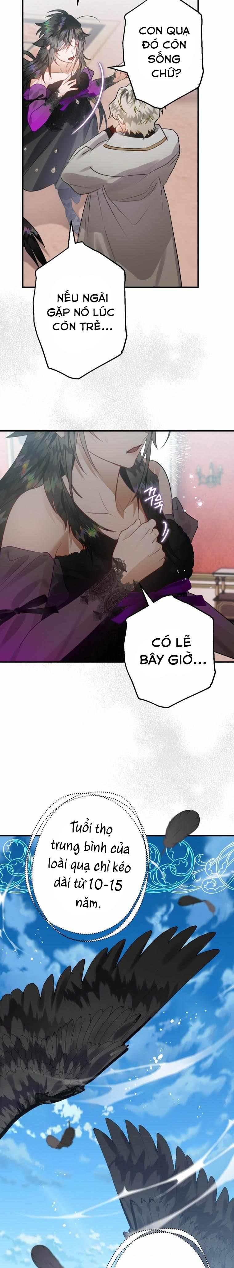 Tôi Bỗng Trở Thành Quạ Đen Chương 31 page 10 - Giả Dược