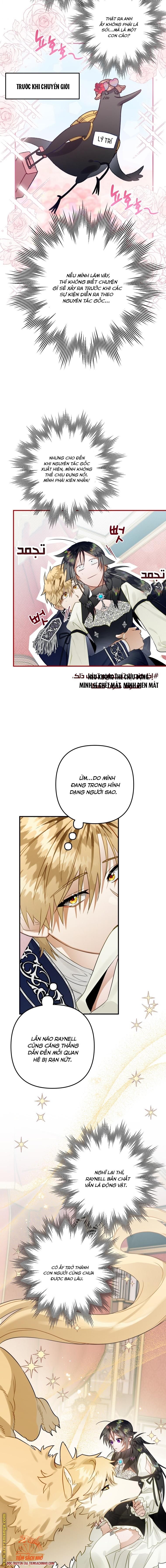 Tôi Bỗng Trở Thành Quạ Đen Chương 37 page 6 - Giả Dược