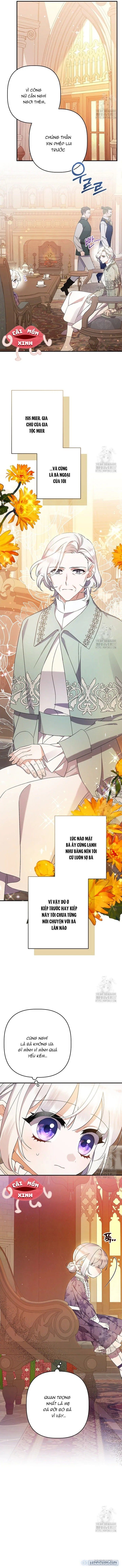 đọc truyện Tôi Chỉ Định Chăm Sóc Người Cha Ốm Yếu Của Mình Thôi Mà Chương 14 ảnh 12 tại Thiên Thai Truyện