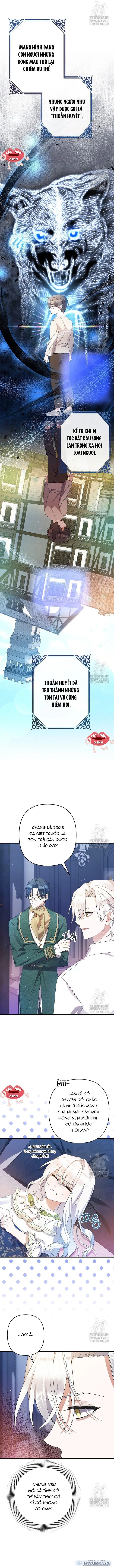 đọc truyện Tôi Chỉ Định Chăm Sóc Người Cha Ốm Yếu Của Mình Thôi Mà Chương 20 ảnh 6 tại Thiên Thai Truyện