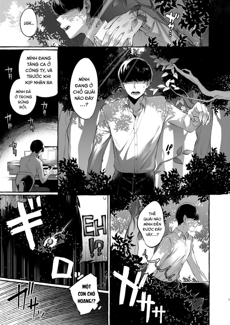 Tôi Chuyển Sinh Đến Thế Giới Khác Với Dàn Harem Toàn Trap. Chương 1 page 5 - Giả Dược