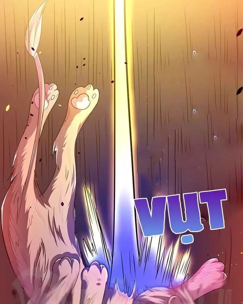 đọc truyện Tối Cường Thăng Cấp Chương 5 ảnh 23 tại Thiên Thai Truyện