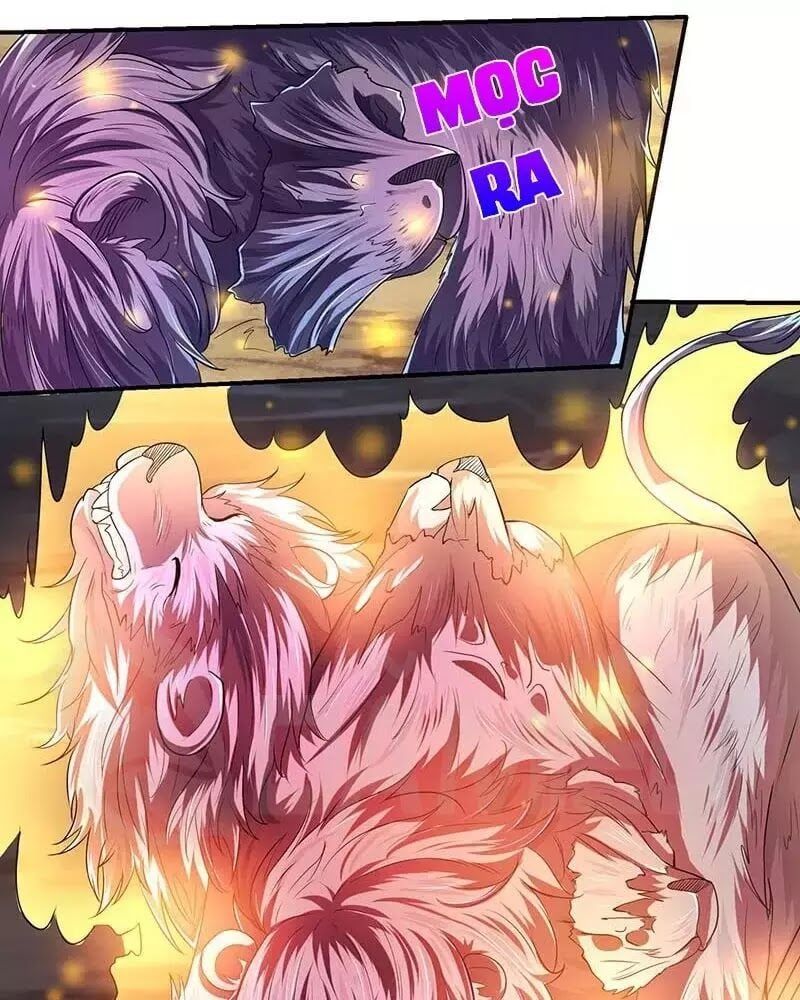 đọc truyện Tối Cường Thăng Cấp Chương 5 ảnh 25 tại Thiên Thai Truyện