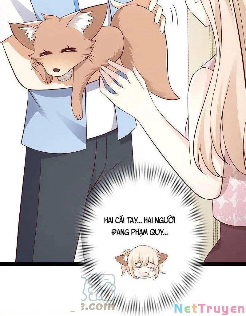 đọc truyện Tối Cường Vận Đào Hoa Chương 276 ảnh 13 tại Thiên Thai Truyện