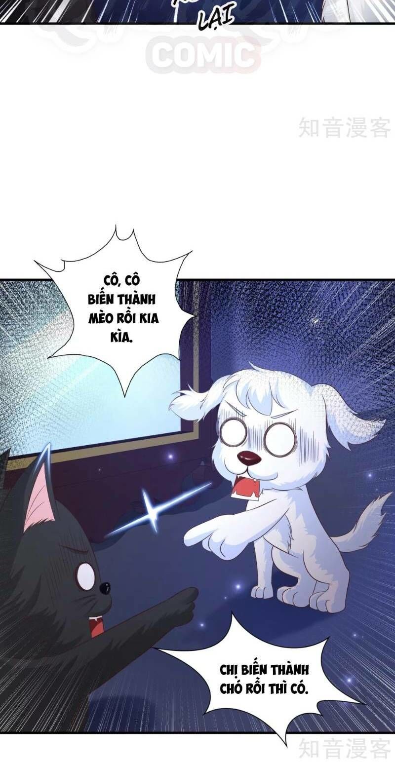 đọc truyện Tối Cường Vận Đào Hoa Chương 77 ảnh 10 tại Thiên Thai Truyện