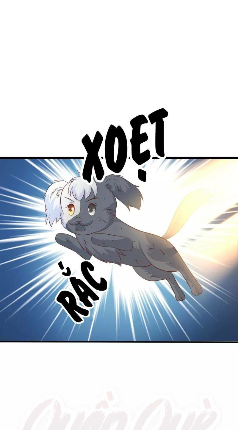 đọc truyện Tối Cường Vận Đào Hoa Chương 81 ảnh 19 tại Thiên Thai Truyện