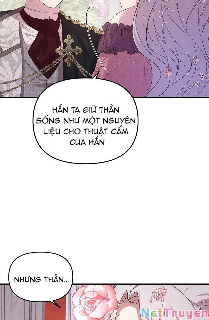 Tôi Cứu Anh Không Có Nghĩa Là Tôi Sẽ Cưới Anh Chương 4 page 24 - Giả Dược