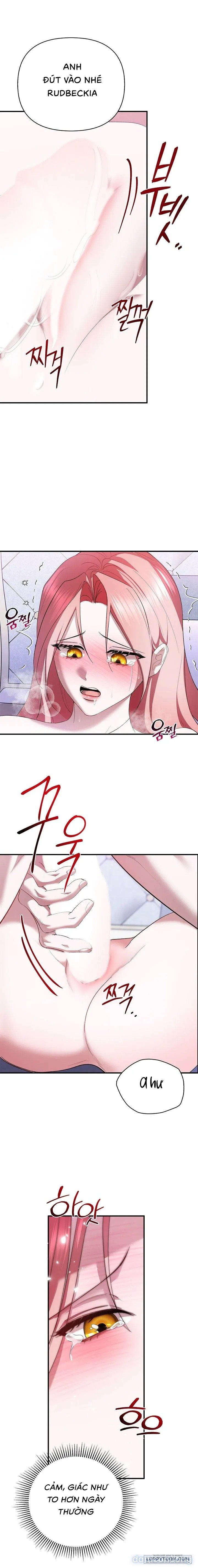 đọc truyện Tôi Đã Ăn Thay Cho Chồng Chương 3 ảnh 23 tại Thiên Thai Truyện