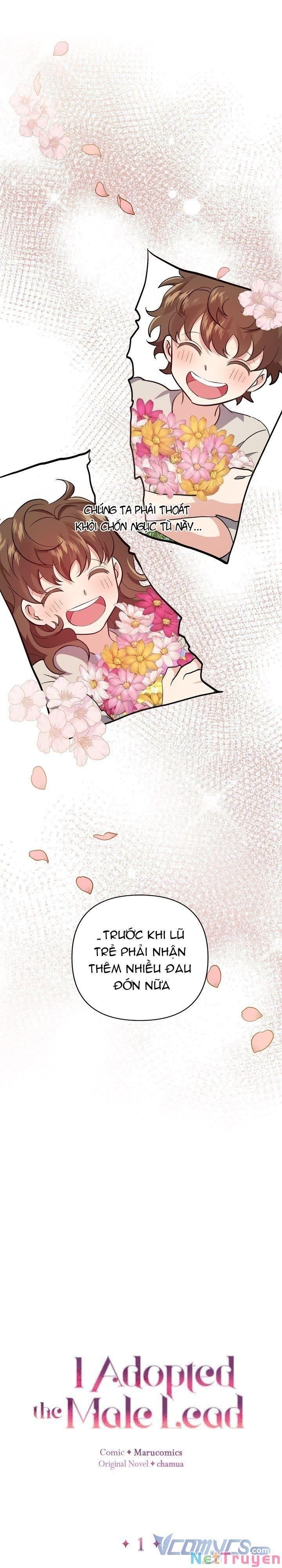 Tôi Đã Nhận Nuôi Nam Chính Chương 1 page 17 - Giả Dược