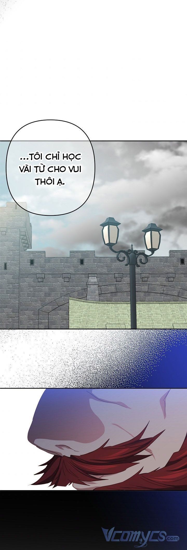 đọc truyện Tôi Đã Nuôi Dưỡng Nam Phụ Ám Ảnh Chương 28.5 ảnh 6 tại Thiên Thai Truyện