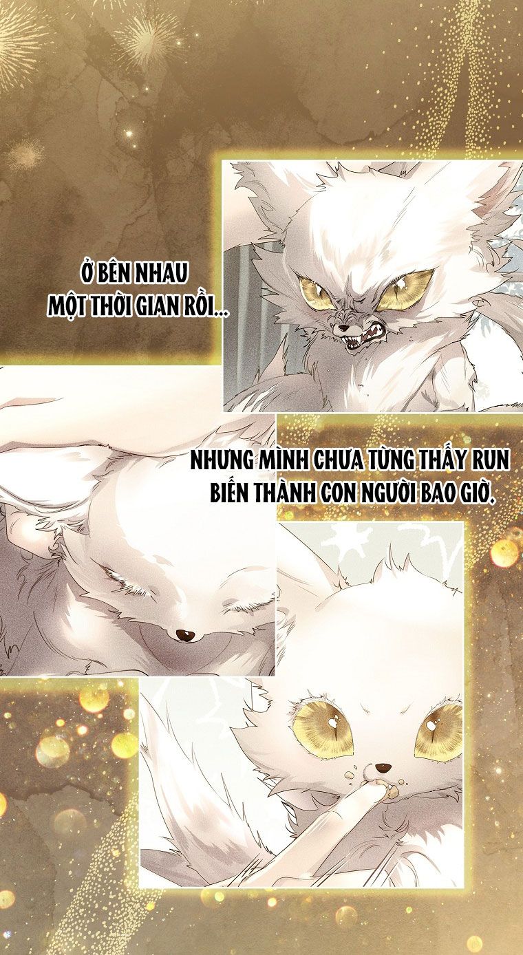 đọc truyện Tôi Đã Nuôi Hồ Ly Sai Cách Rồi Chương 10 ảnh 5 tại Giả Dược