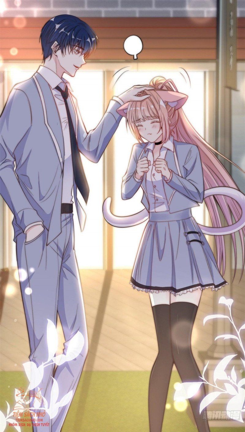 đọc truyện  Tôi Được Năm Nam Chính Sủng Chương 5.5 ảnh 12 tại Thiên Thai Truyện