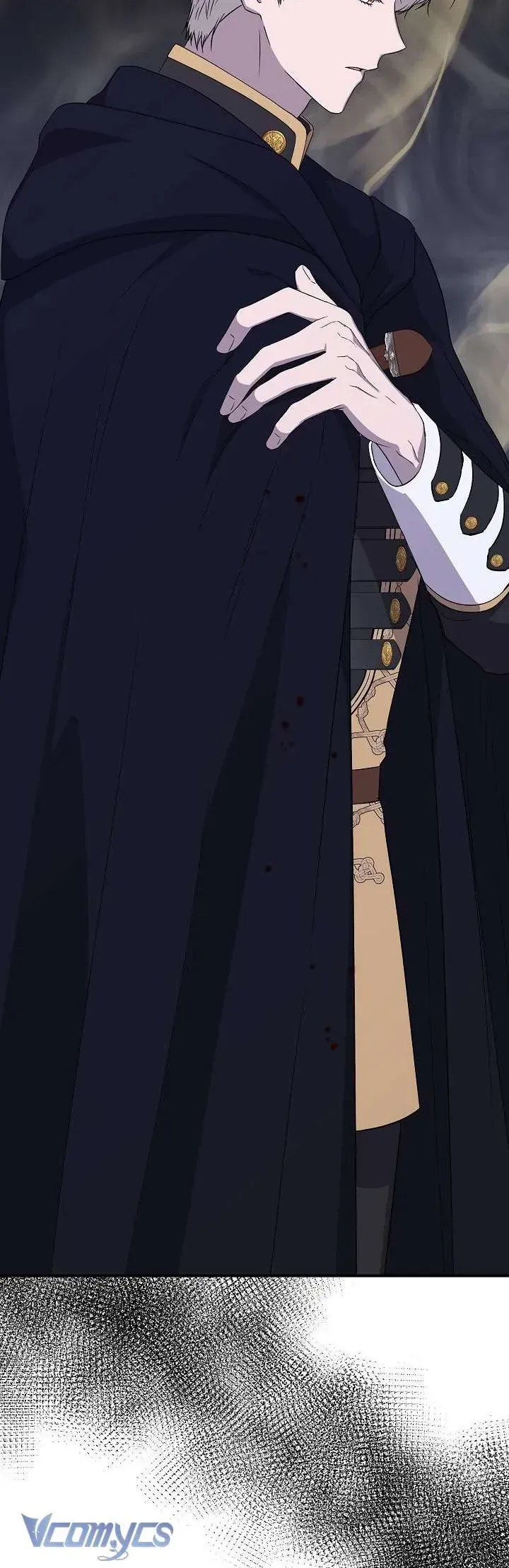 đọc truyện Tôi Không Phải Là Cinderella Chương 113 ảnh 14 tại Thiên Thai Truyện