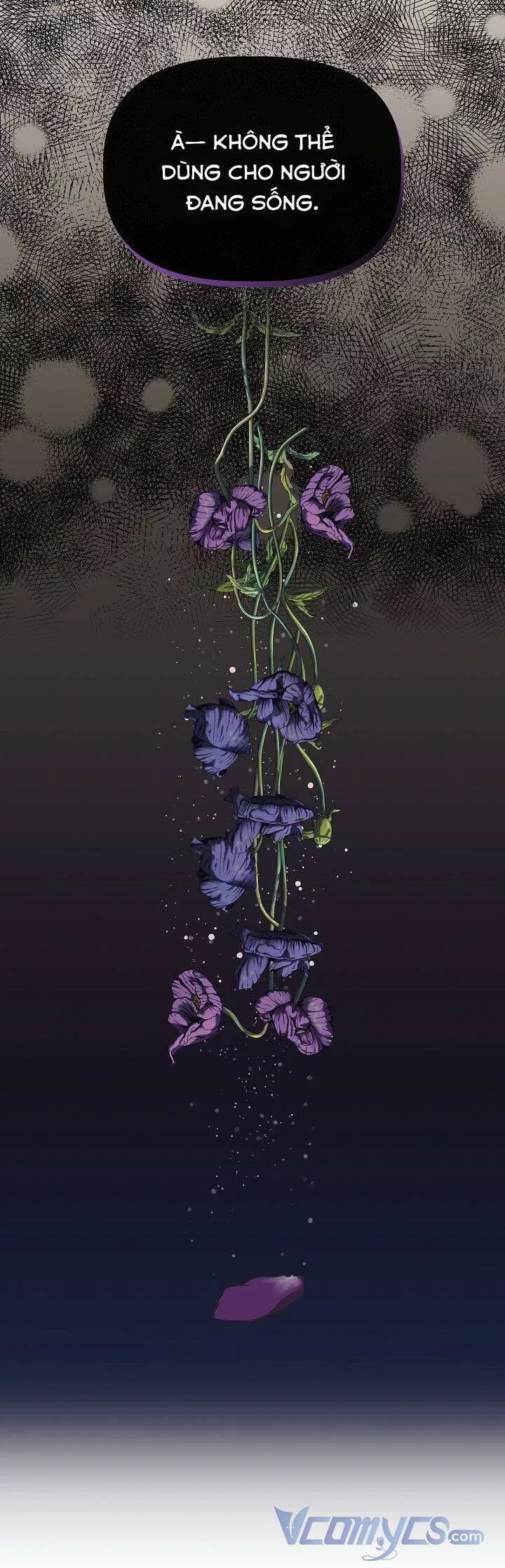 đọc truyện Tôi Không Phải Là Cinderella Chương 73 ảnh 80 tại Thiên Thai Truyện