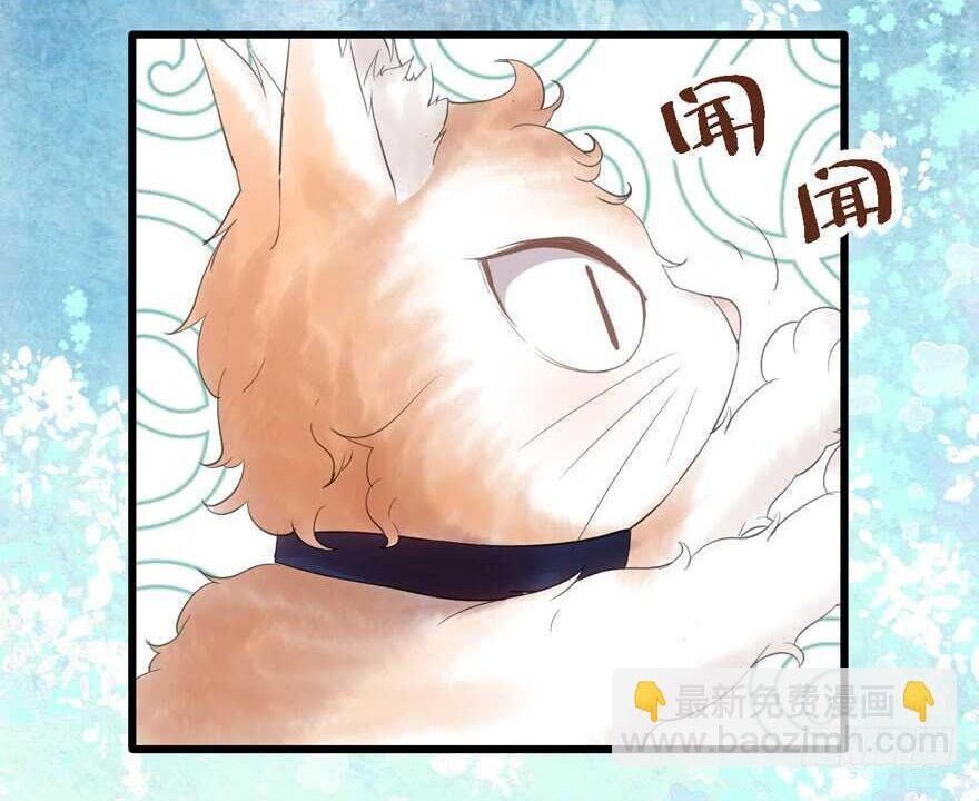 đọc truyện Tôi Không Phải Nữ Phụ Ác Độc Chương 196 ảnh 40 tại Thiên Thai Truyện