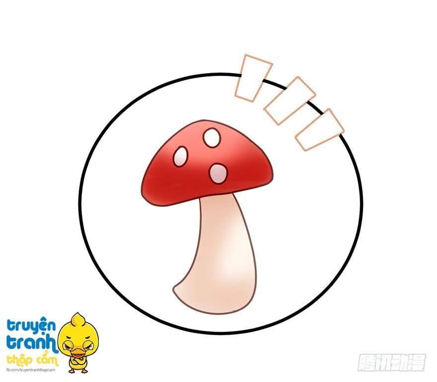 đọc truyện Tôi Không Phải Nữ Phụ Ác Độc Chương 25 ảnh 7 tại Thiên Thai Truyện