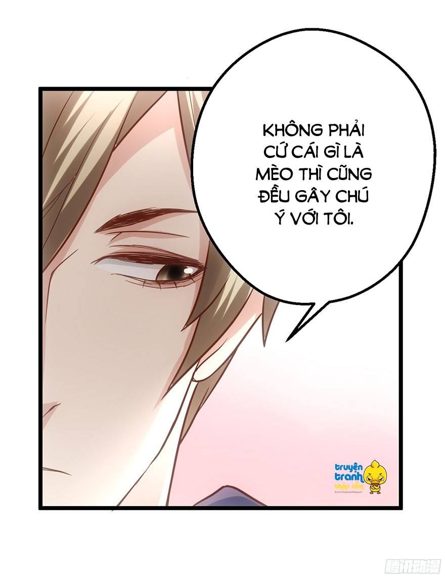 đọc truyện Tôi Không Phải Nữ Phụ Ác Độc Chương 31 ảnh 39 tại Thiên Thai Truyện