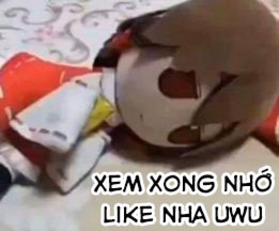 Tôi Là Gia Sư Tình Dục Của Cậu Chương 5 page 5 - Giả Dược