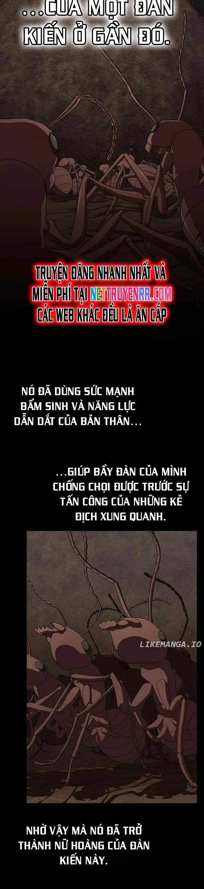 đọc truyện Tôi Là Người Chơi Leo Tháp Một Mình Chương 210 ảnh 22 tại Giả Dược
