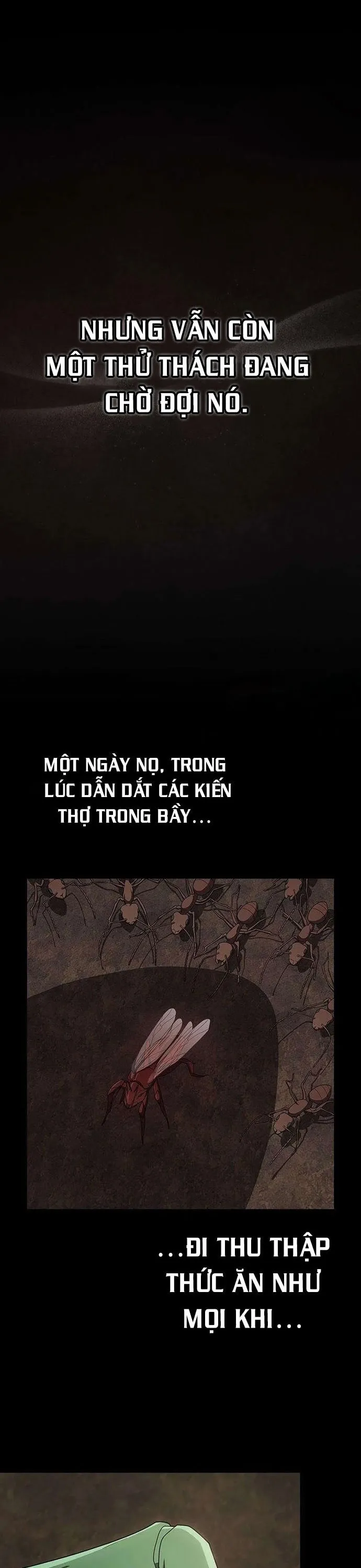 đọc truyện Tôi Là Người Chơi Leo Tháp Một Mình Chương 210 ảnh 23 tại Giả Dược