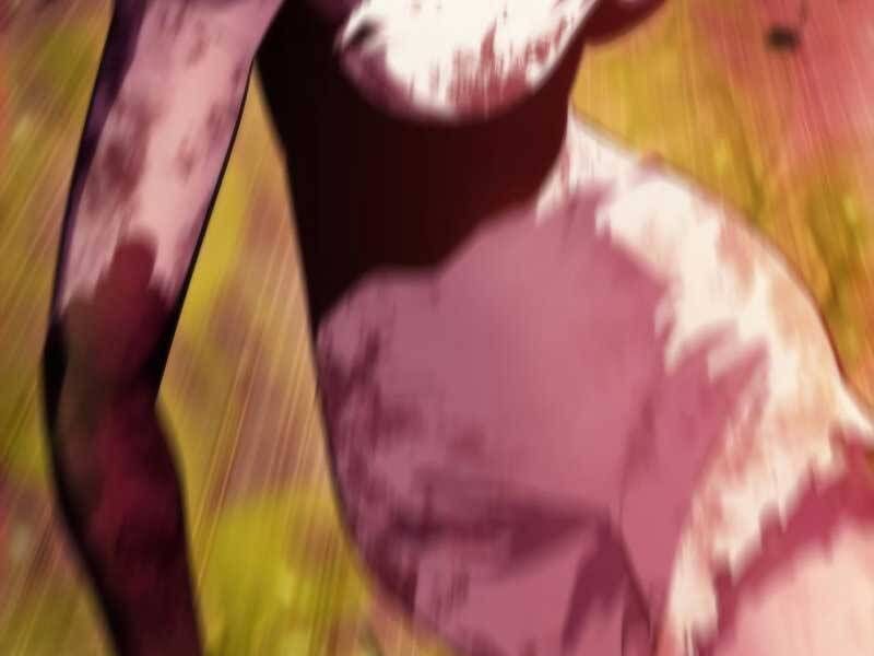 đọc truyện Tôi Là Tân Thủ Có Cấp Cao Nhất Chương 54.5 ảnh 188 tại Thiên Thai Truyện