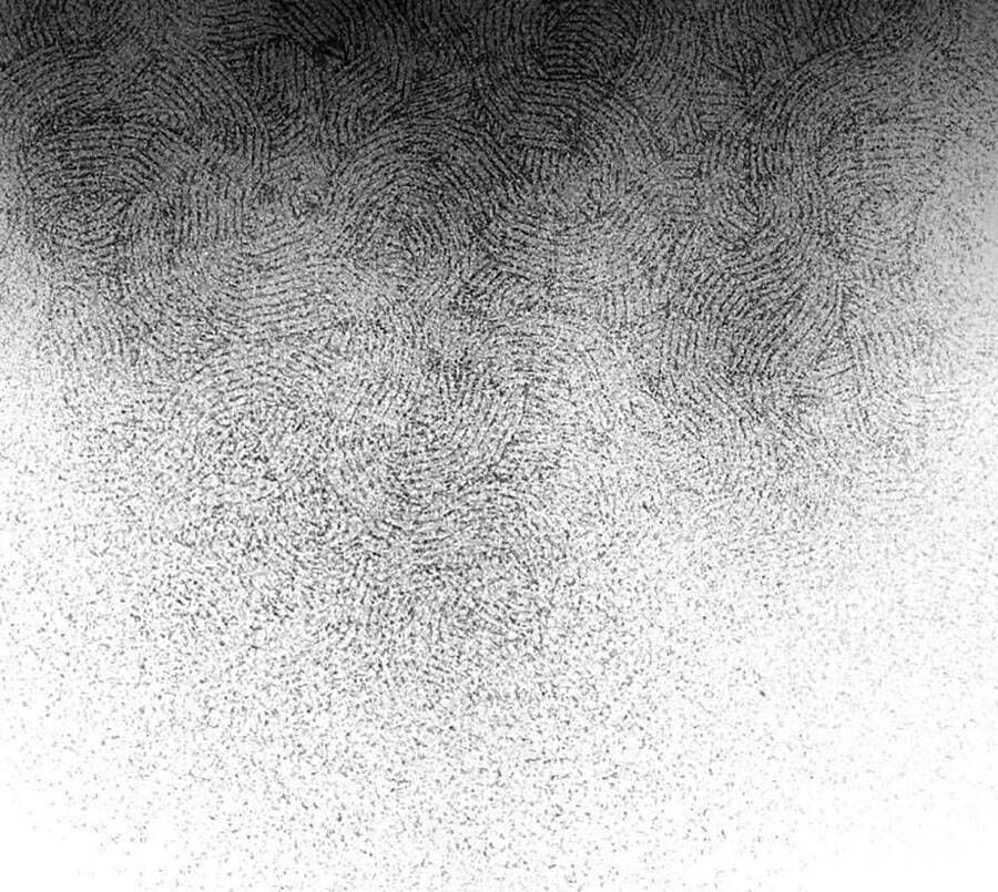 đọc truyện Tôi Là Thợ Săn Có Sức Mạnh Của 99 Vạn Tiền Kiếp Chương 67 ảnh 136 tại Thiên Thai Truyện