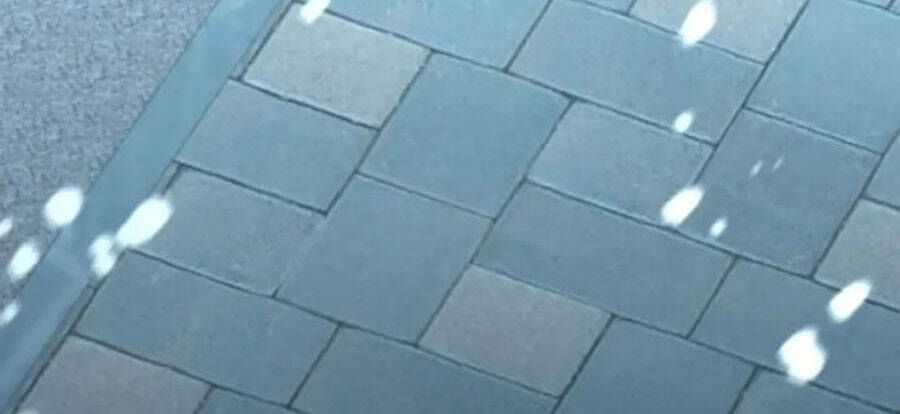 đọc truyện Tôi Là Thợ Săn Có Sức Mạnh Của 99 Vạn Tiền Kiếp Chương 89 ảnh 229 tại Thiên Thai Truyện