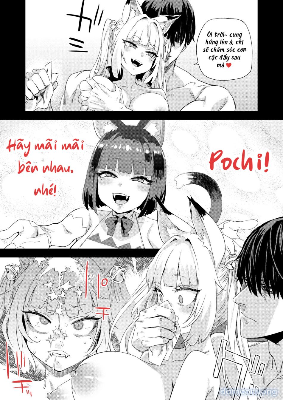 đọc truyện Tôi Là Thú Cưng Của Nàng Miêu Nữ Chương 0 ảnh 15 tại Thiên Thai Truyện