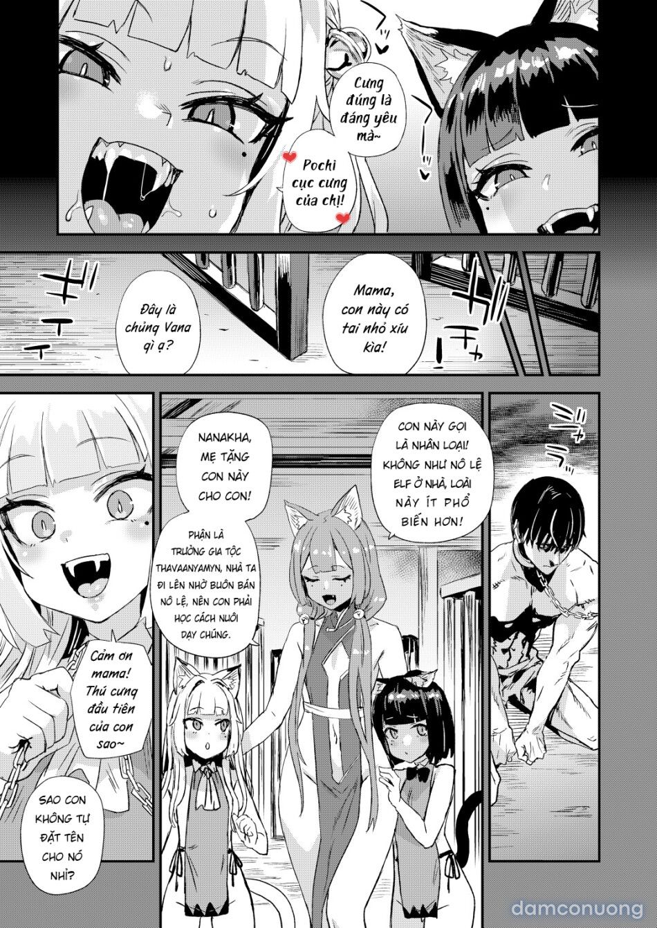 đọc truyện Tôi Là Thú Cưng Của Nàng Miêu Nữ Chương 0 ảnh 5 tại Thiên Thai Truyện