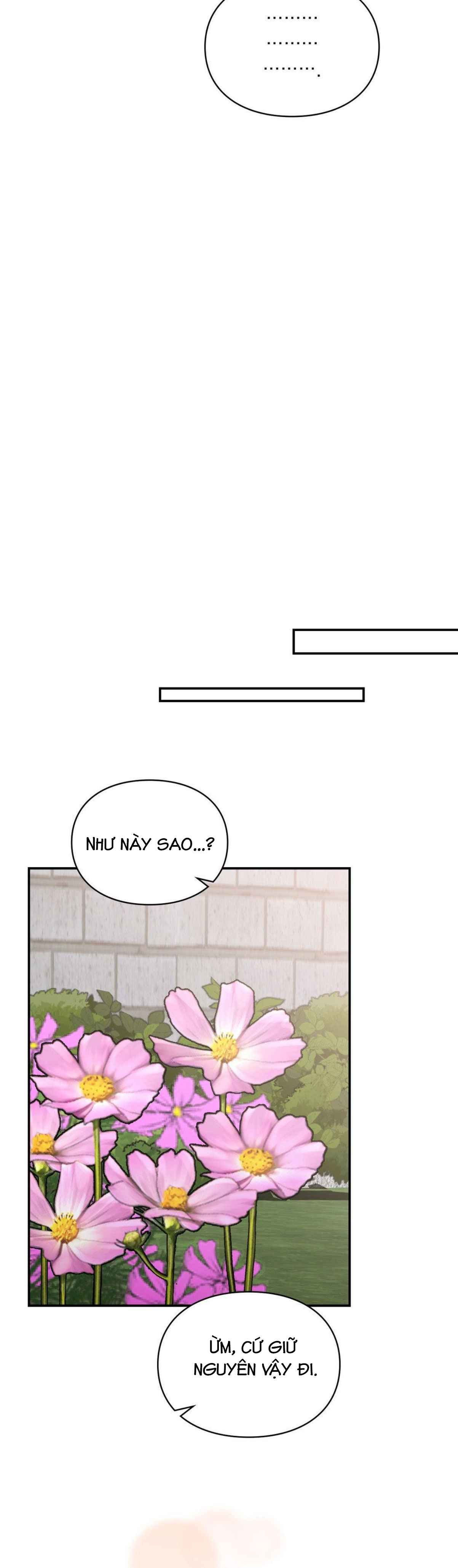 đọc truyện Tôi Muốn Em Chương 82 ảnh 7 tại Thiên Thai Truyện