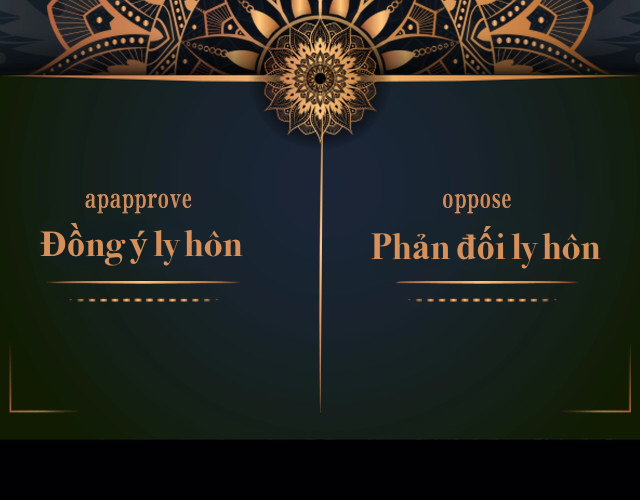đọc truyện Tôi Muốn Ly Hôn Chương 0 ảnh 14 tại Giả Dược