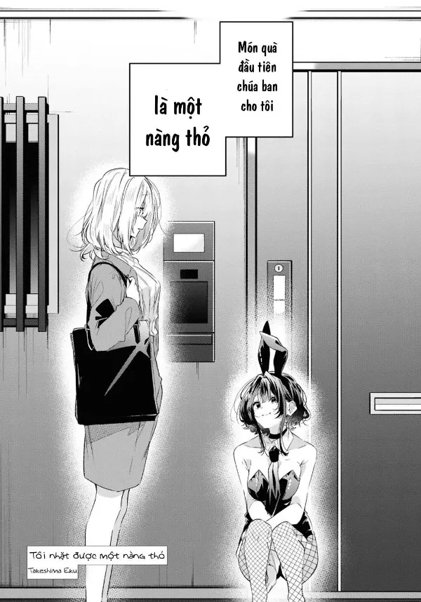 Tôi Nhặt Được Một Nàng Thỏ