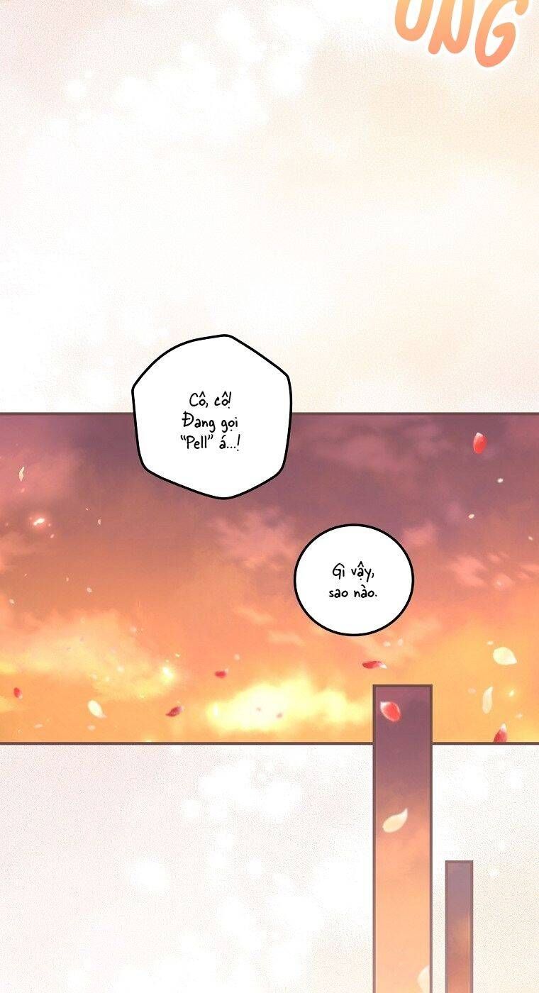 Tôi Nhìn Thấy Cái Chết Của Bạn Chương 33 page 34 - Giả Dược