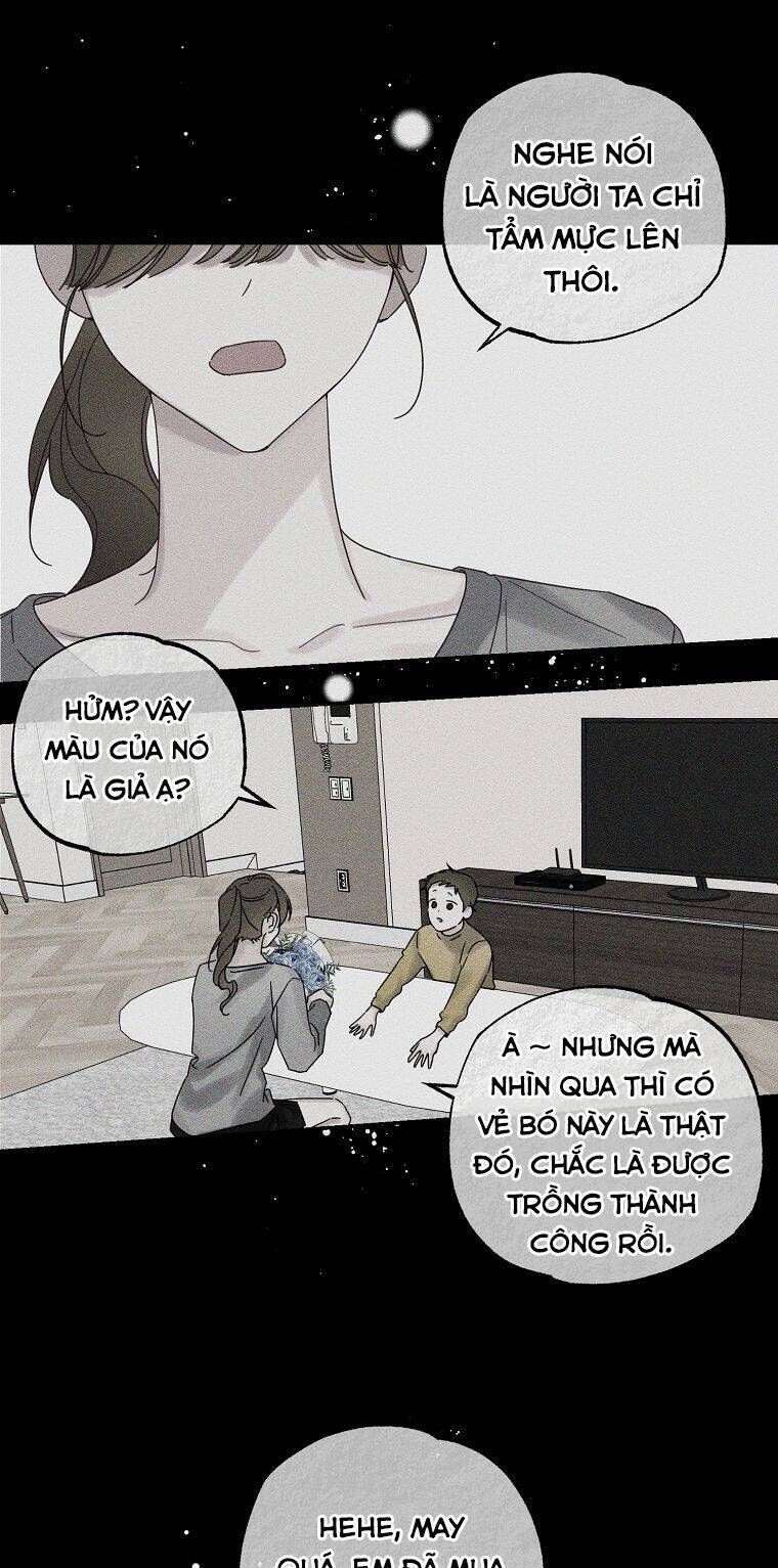 đọc truyện Tôi Phải Giấu Em Trai Trước Đã Chương 48 ảnh 36 tại Thiên Thai Truyện